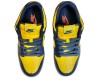 Nike Air Force 1 SB Dunk Low Michigan