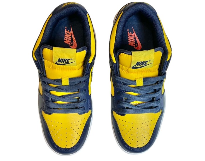 Nike Air Force 1 SB Dunk Low Michigan