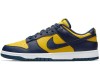 Nike Air Force 1 SB Dunk Low Michigan