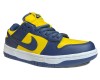 Nike Air Force 1 SB Dunk Low Michigan