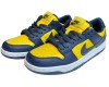 Nike Air Force 1 SB Dunk Low Michigan