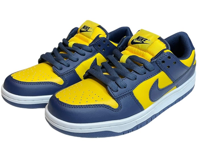 Nike Air Force 1 SB Dunk Low Michigan