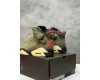 Nike Air Jordan 6 Retro Travis Scott Olive