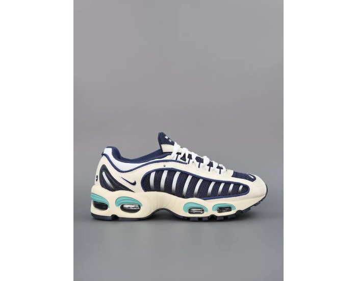 Nike Air Max Tailwind 4 Blue Beige
