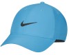Кепка Nike Dri-FIT Legacy голубая