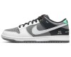 Nike Dunk Sb Pro Iso Vx1000 Camcorder