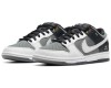 Nike Dunk Sb Pro Iso Vx1000 Camcorder