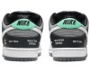 Nike Dunk Sb Pro Iso Vx1000 Camcorder