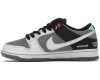 Nike SB Dunk Low VX1000 Camcorder