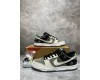 Nike SB Dunk Low VX1000 Camcorder