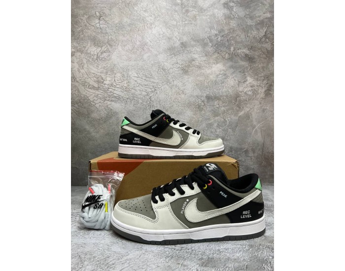 Nike SB Dunk Low VX1000 Camcorder