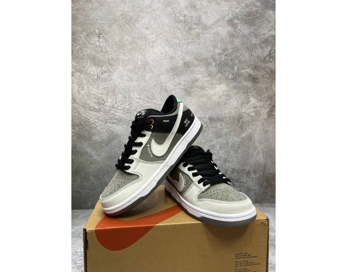 Nike SB Dunk Low VX1000 Camcorder