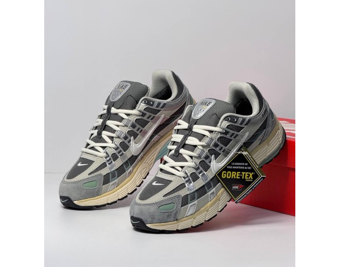 Nike P-6000 Gore-Tex Grey White Зимние