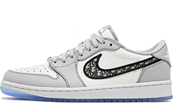 Nike Air Jordan 1 Retro Dior grey